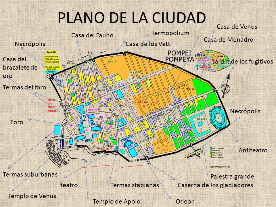 PLANO DE LA CIUDAD Casa de Venus Termopolium Casa del Fauno