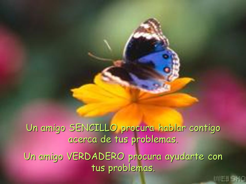 Un amigo SENCILLO procura hablar contigo acerca de tus problemas.