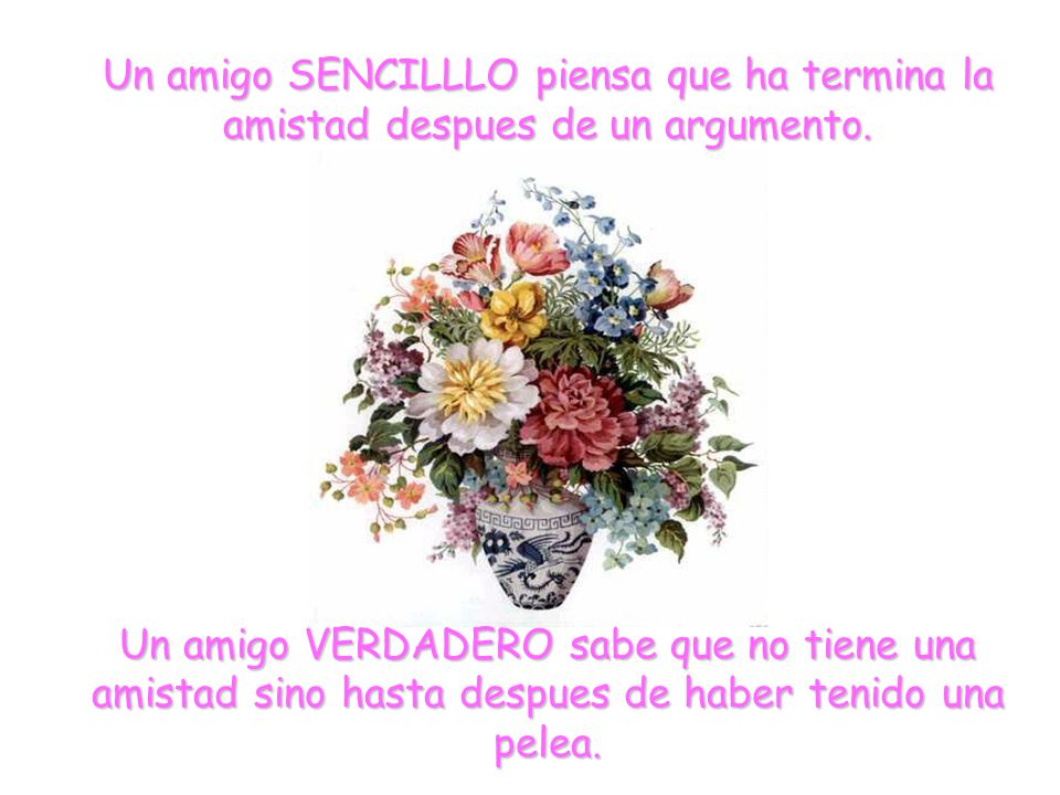 Un amigo SENCILLLO piensa que ha termina la amistad despues de un argumento.