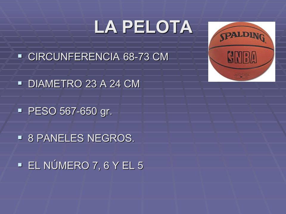 LA PELOTA CIRCUNFERENCIA CM DIAMETRO 23 A 24 CM PESO gr.