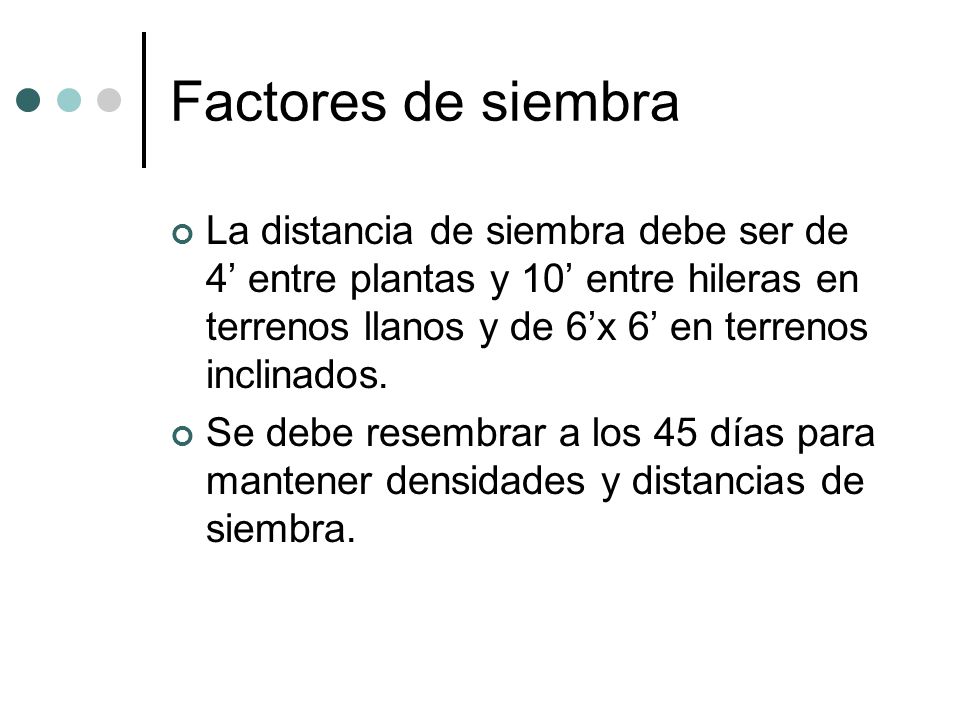 Factores de siembra La distancia de siembra debe ser de 4’ entre plantas y 10’ entre hileras en terrenos llanos y de 6’x 6’ en terrenos inclinados.