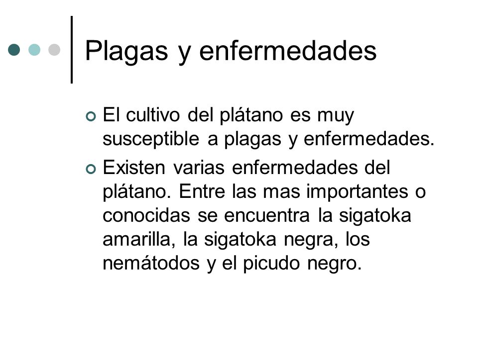 Plagas y enfermedades El cultivo del plátano es muy susceptible a plagas y enfermedades.