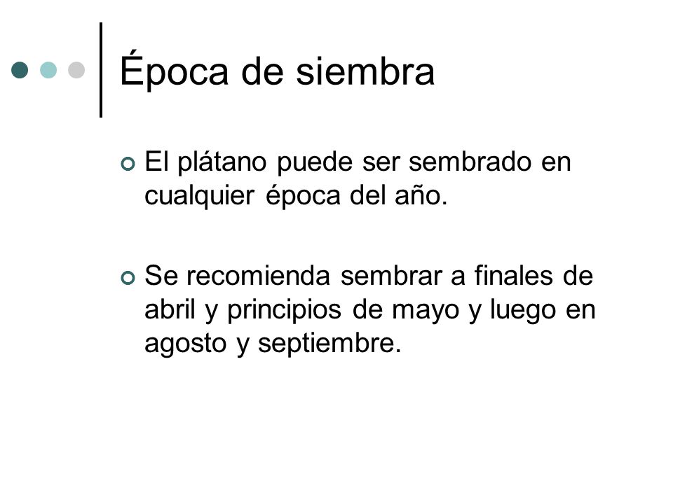 Época de siembra El plátano puede ser sembrado en cualquier época del año.