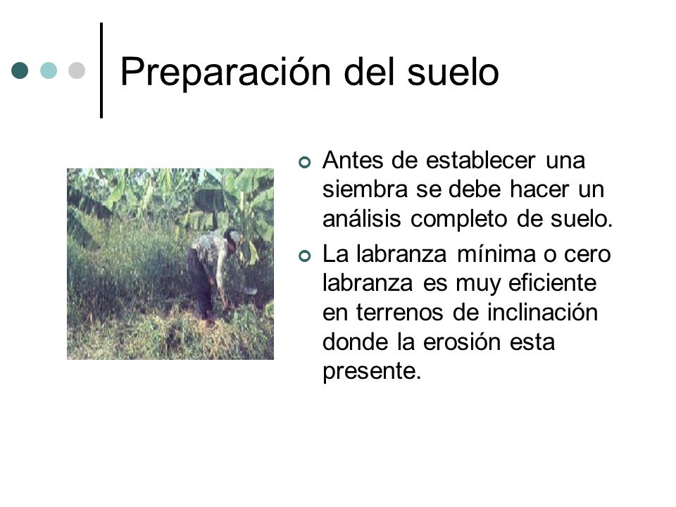 Preparación del suelo Antes de establecer una siembra se debe hacer un análisis completo de suelo.