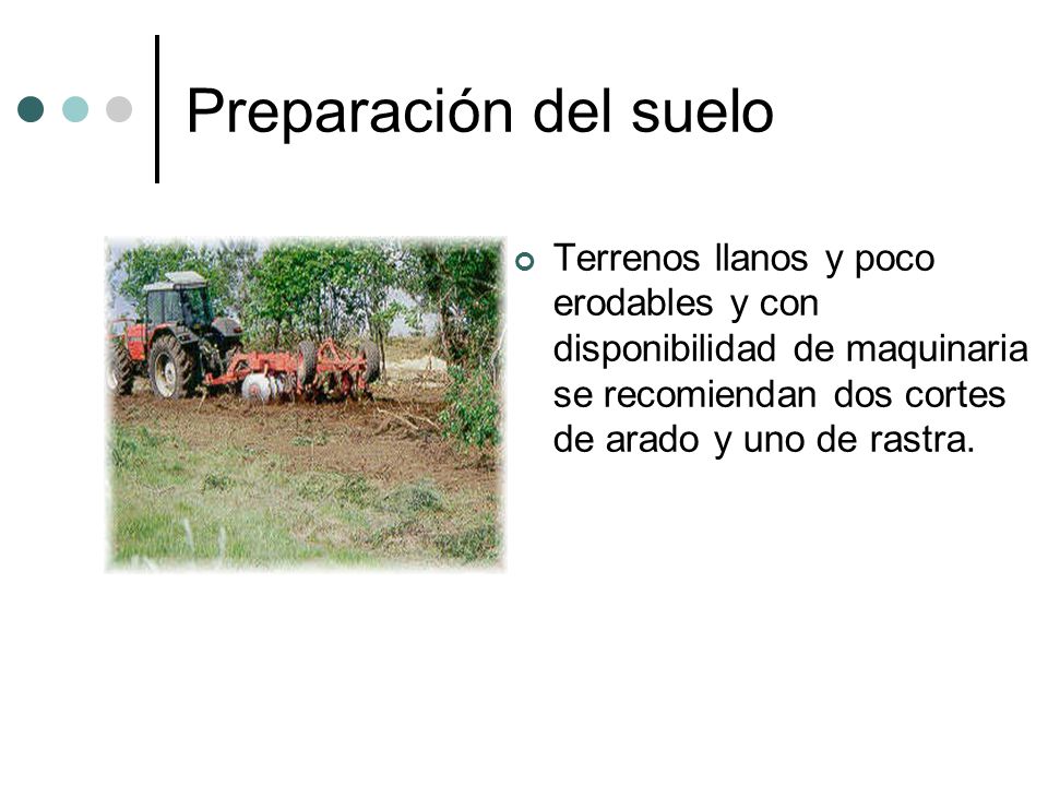 Preparación del suelo Terrenos llanos y poco erodables y con disponibilidad de maquinaria se recomiendan dos cortes de arado y uno de rastra.