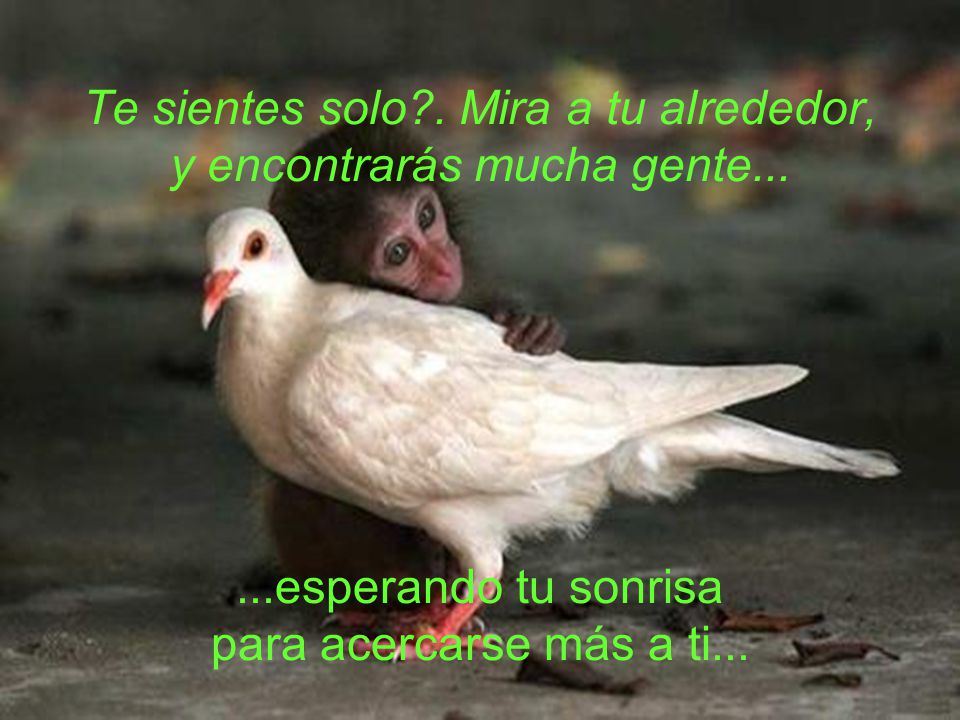 Te sientes solo . Mira a tu alrededor, y encontrarás mucha gente...