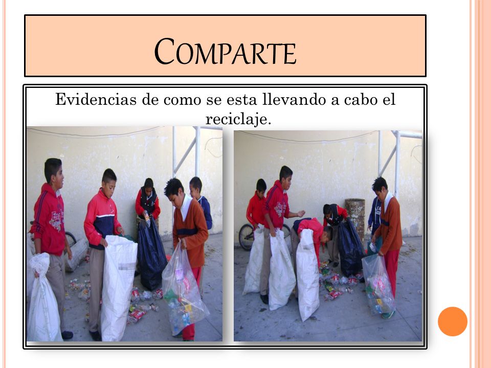 Evidencias de como se esta llevando a cabo el reciclaje.