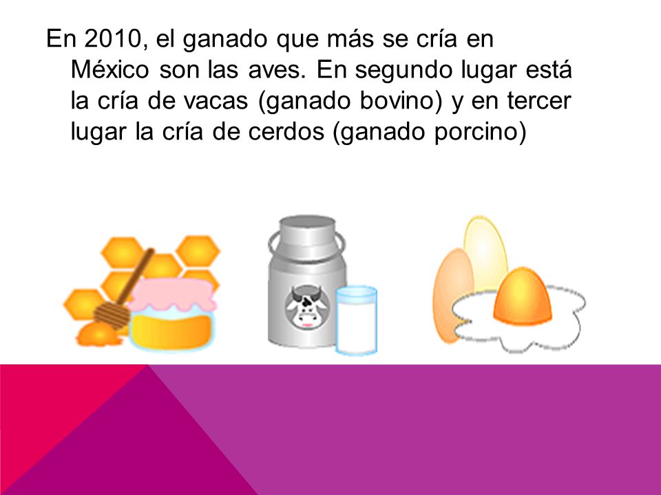 En 2010, el ganado que más se cría en México son las aves