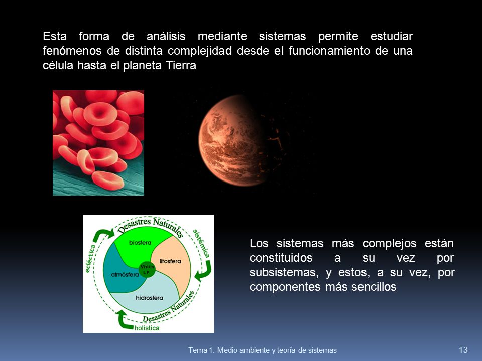 Esta forma de análisis mediante sistemas permite estudiar fenómenos de distinta complejidad desde el funcionamiento de una célula hasta el planeta Tierra