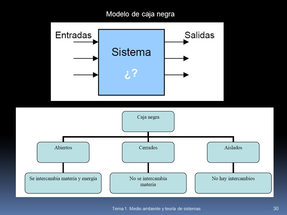 Modelo de caja negra ¿ Tema 1. Medio ambiente y teoría de sistemas