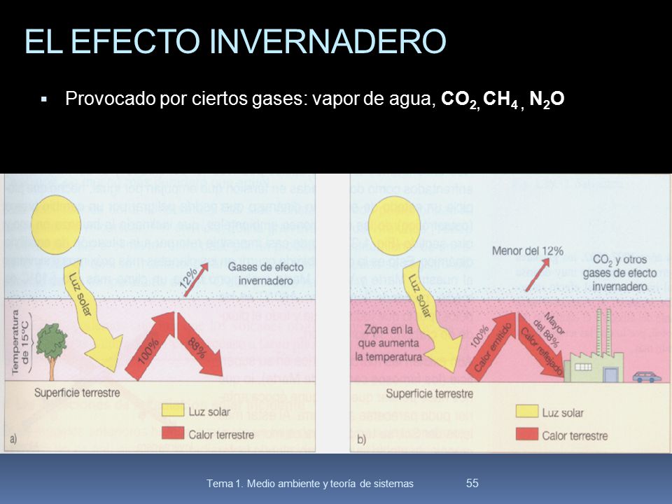 EL EFECTO INVERNADERO Provocado por ciertos gases: vapor de agua, CO2, CH4 , N2O.