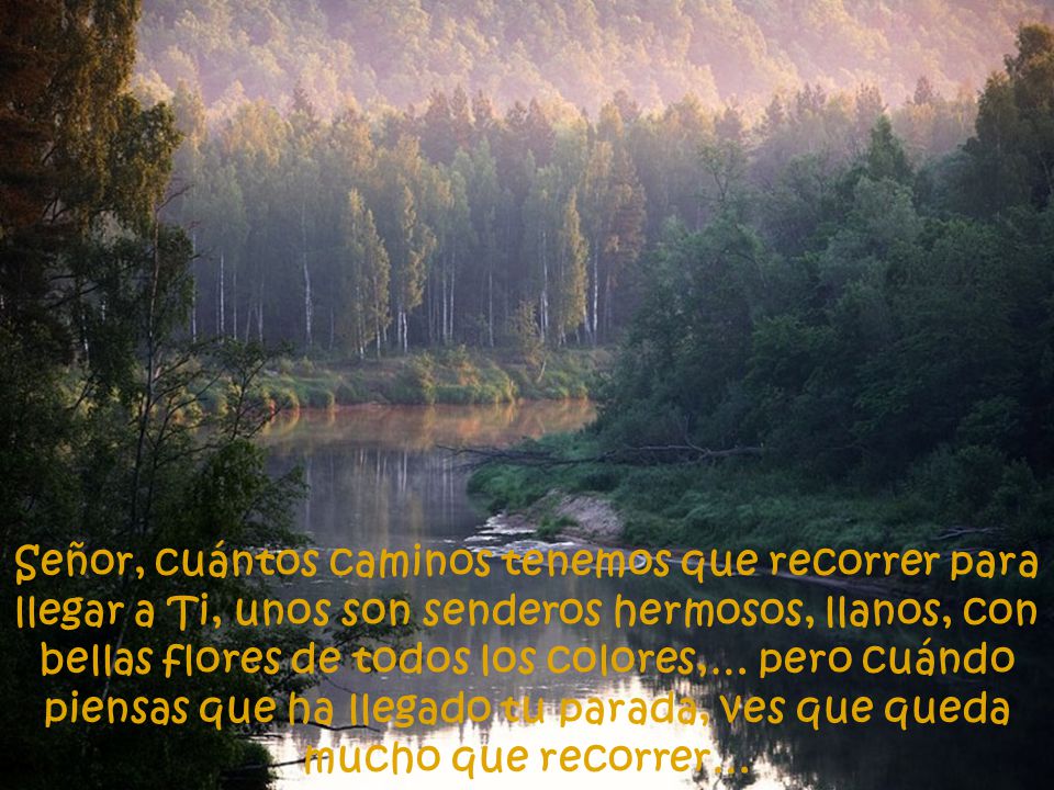 Señor, cuántos caminos tenemos que recorrer para llegar a Ti, unos son senderos hermosos, llanos, con bellas flores de todos los colores,… pero cuándo piensas que ha llegado tu parada, ves que queda mucho que recorrer…