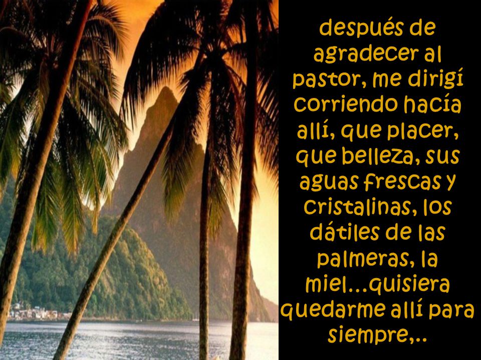 después de agradecer al pastor, me dirigí corriendo hacía allí, que placer, que belleza, sus aguas frescas y cristalinas, los dátiles de las palmeras, la miel…quisiera quedarme allí para siempre,..