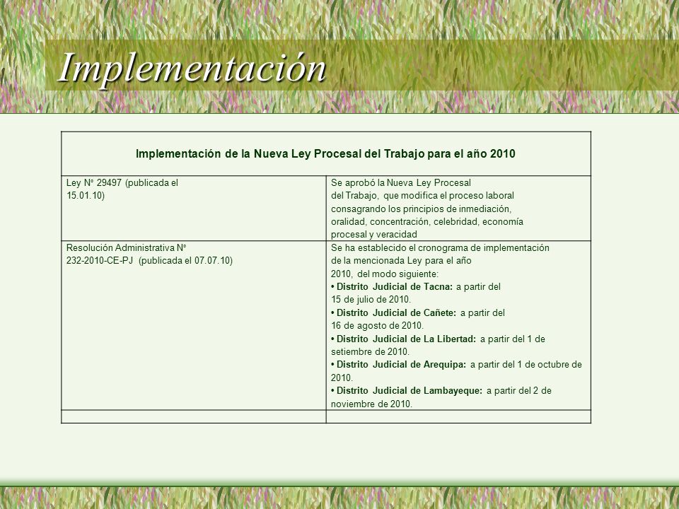 Implementación de la Nueva Ley Procesal del Trabajo para el año 2010