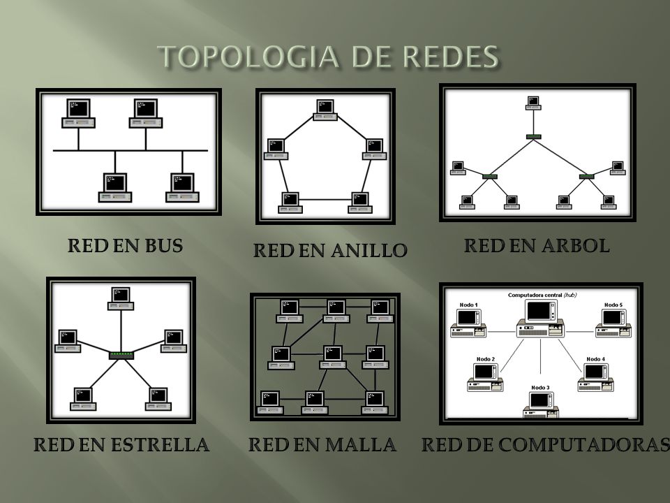TOPOLOGIA DE REDES RED EN BUS RED EN ARBOL RED EN ANILLO