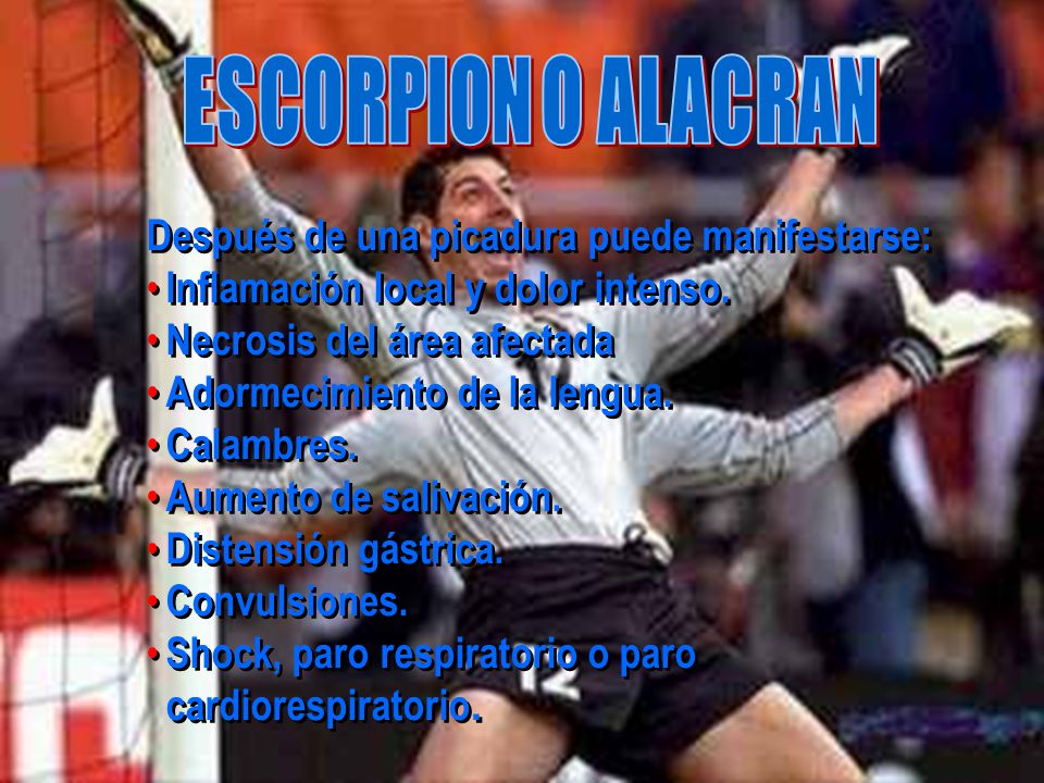 ESCORPION O ALACRAN Después de una picadura puede manifestarse: