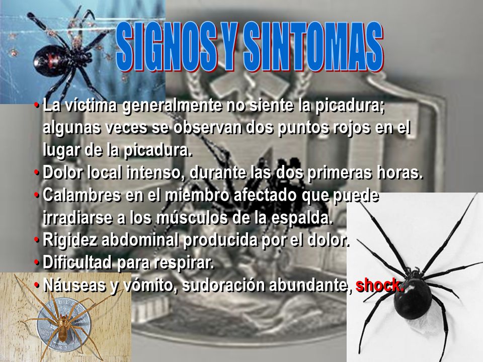 SIGNOS Y SINTOMAS La víctima generalmente no siente la picadura; algunas veces se observan dos puntos rojos en el lugar de la picadura.