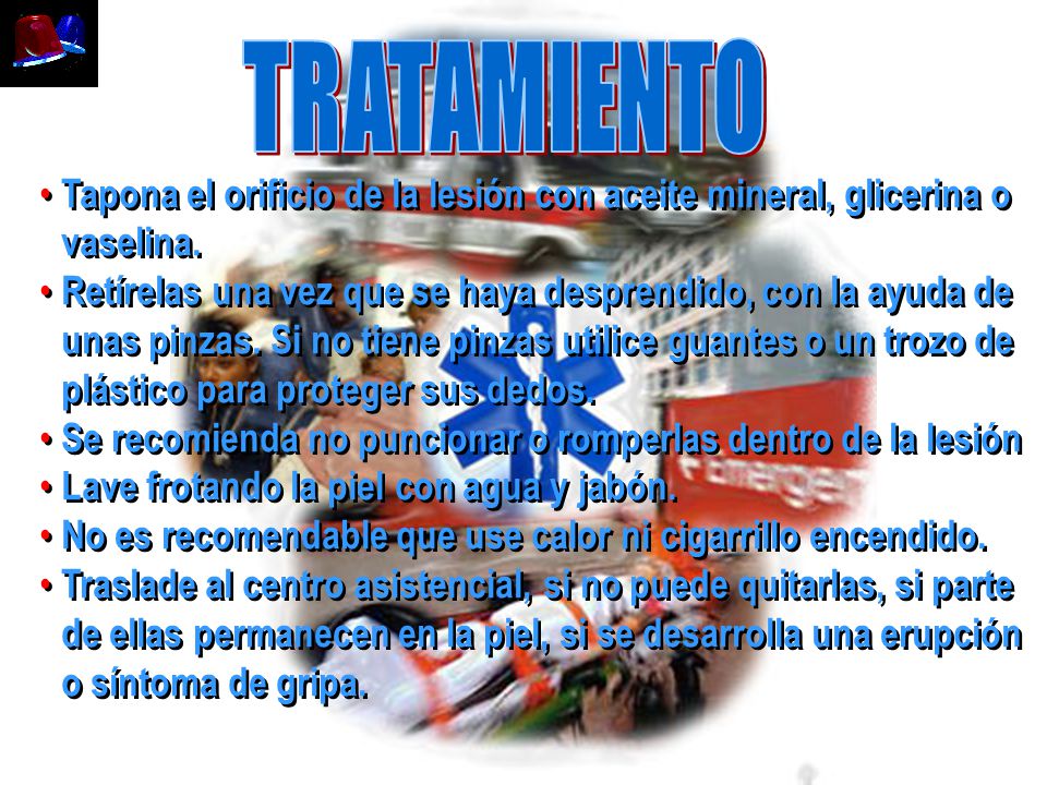 TRATAMIENTO Tapona el orificio de la lesión con aceite mineral, glicerina o vaselina.