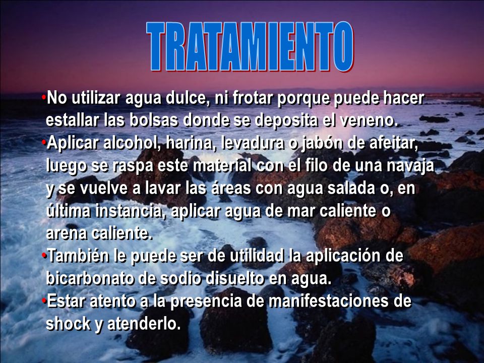 TRATAMIENTO No utilizar agua dulce, ni frotar porque puede hacer estallar las bolsas donde se deposita el veneno.
