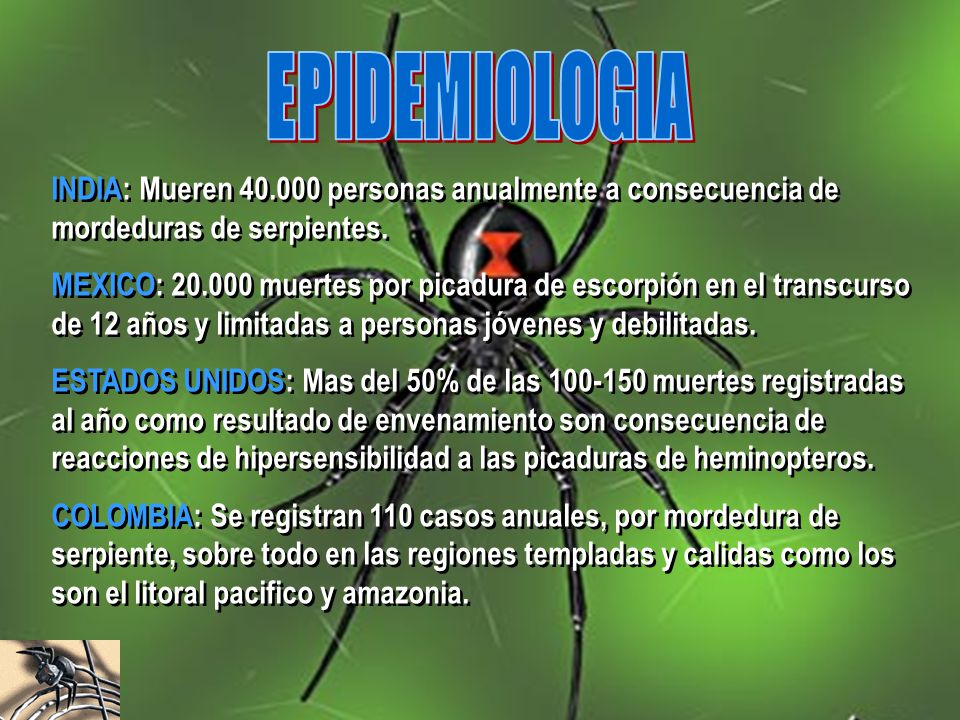 EPIDEMIOLOGIA INDIA: Mueren personas anualmente a consecuencia de mordeduras de serpientes.