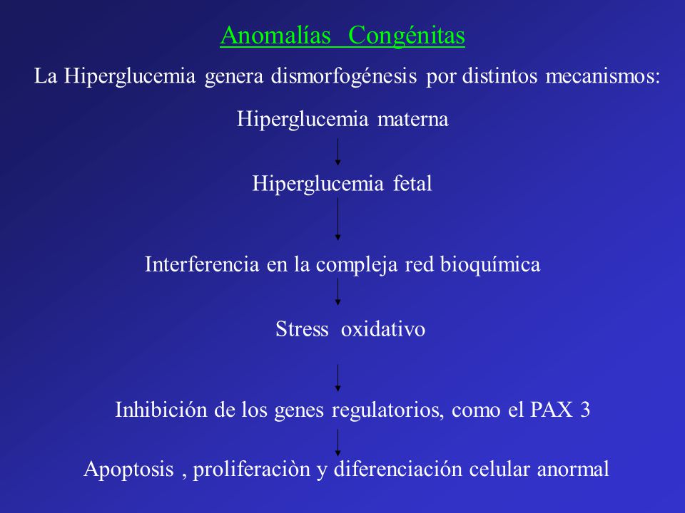 Anomalías Congénitas La Hiperglucemia genera dismorfogénesis por distintos mecanismos: Hiperglucemia materna.