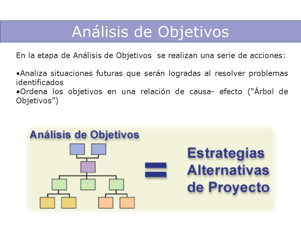Análisis de Objetivos En la etapa de Análisis de Objetivos se realizan una serie de acciones: