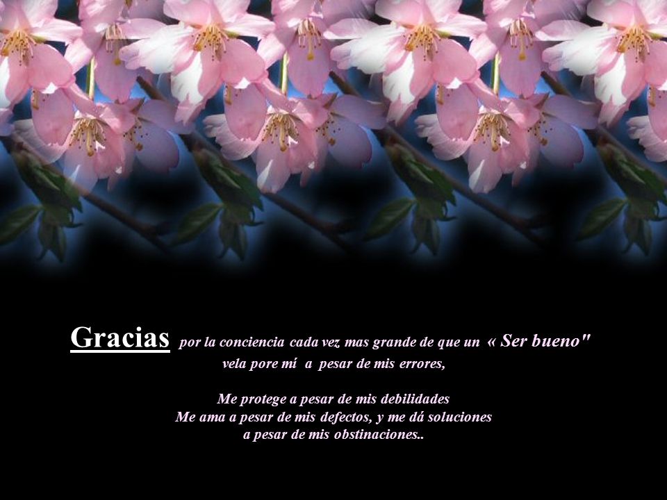 Gracias por la conciencia cada vez mas grande de que un « Ser bueno