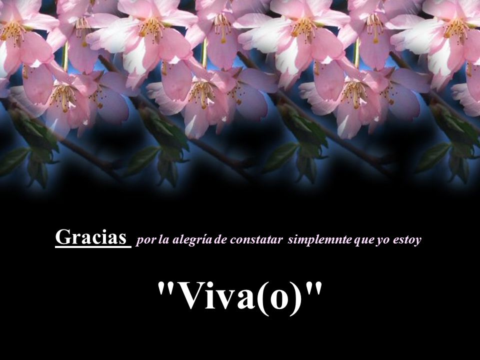 Gracias por la alegría de constatar simplemnte que yo estoy