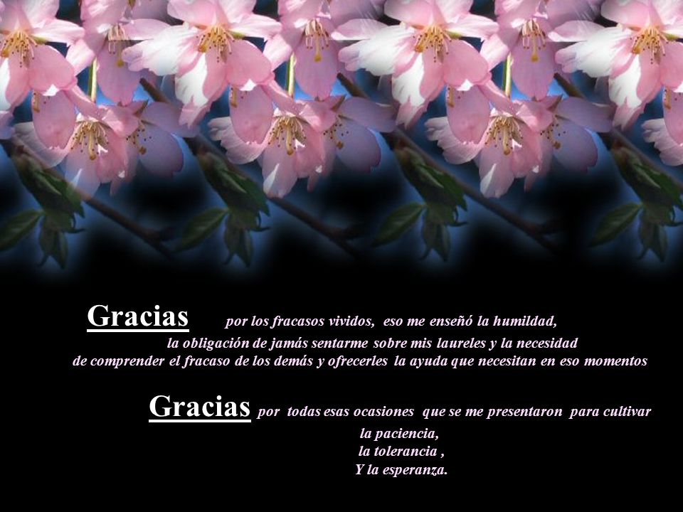 Gracias por los fracasos vividos, eso me enseñó la humildad,
