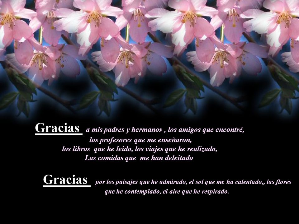 Gracias a mis padres y hermanos , los amigos que encontré,