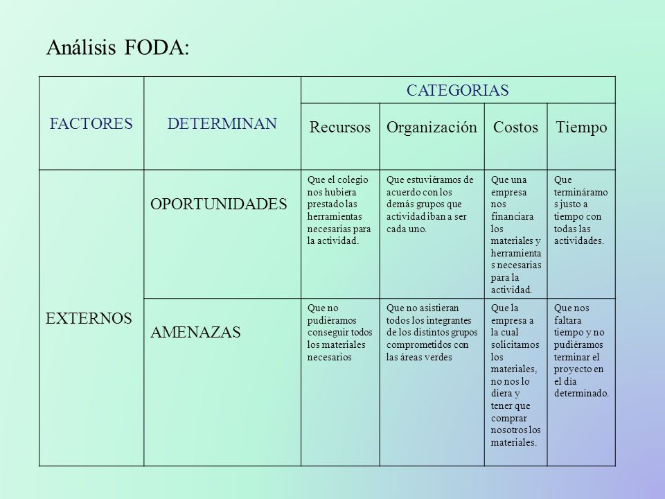 Análisis FODA: FACTORES DETERMINAN CATEGORIAS Recursos Organización