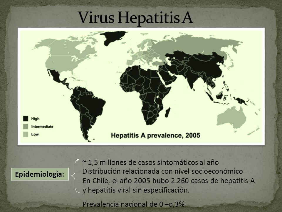 Virus Hepatitis A ~ 1,5 millones de casos sintomáticos al año