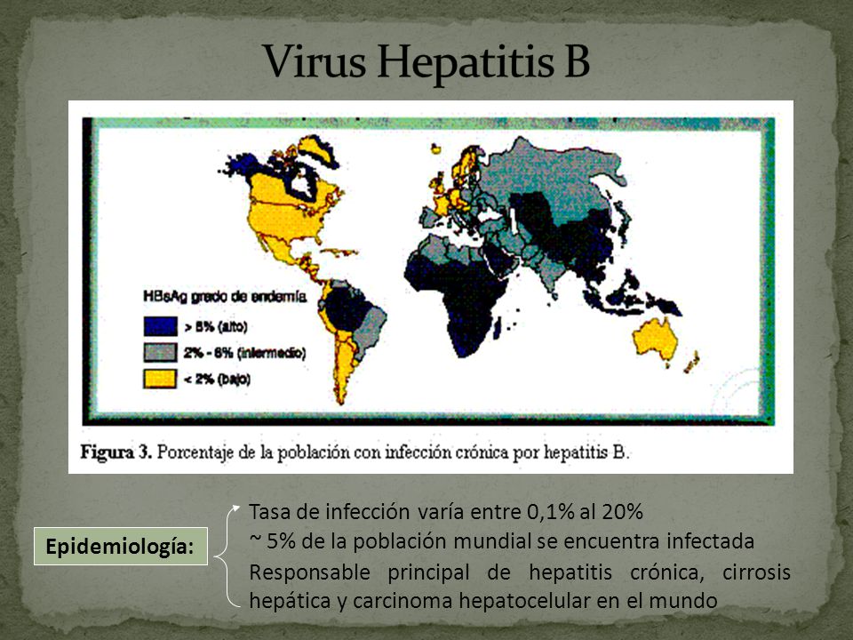 Virus Hepatitis B Tasa de infección varía entre 0,1% al 20%