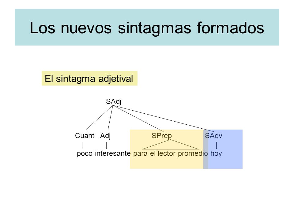 Los nuevos sintagmas formados