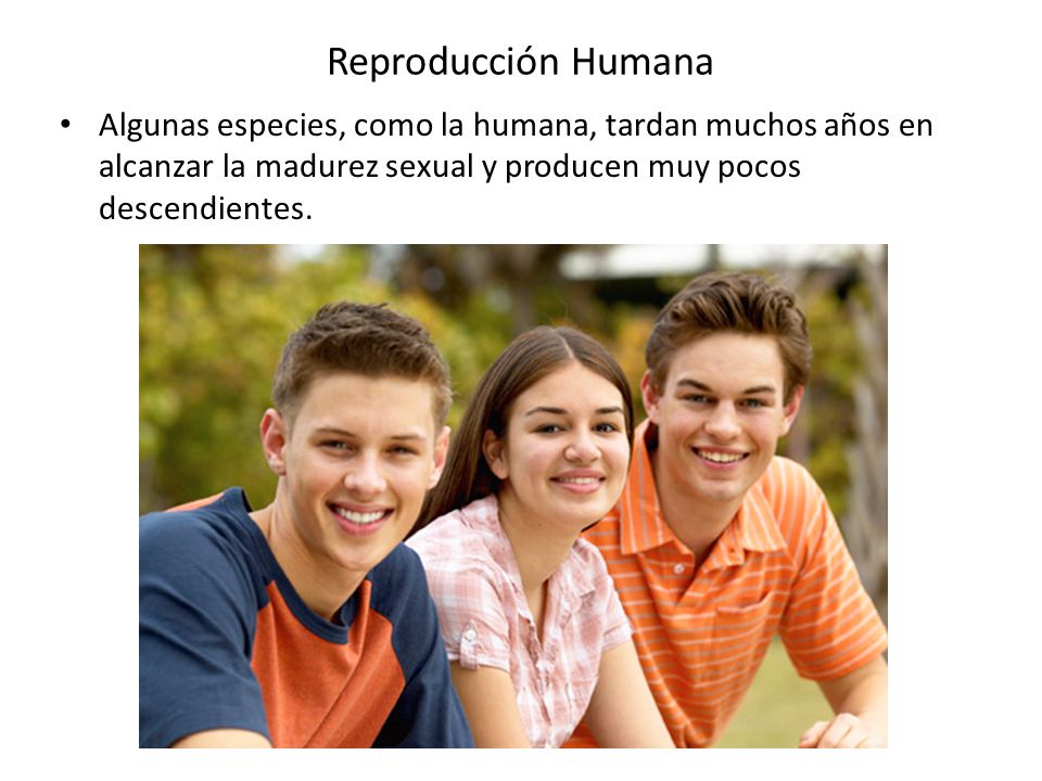 Reproducción Humana Algunas especies, como la humana, tardan muchos años en alcanzar la madurez sexual y producen muy pocos descendientes.