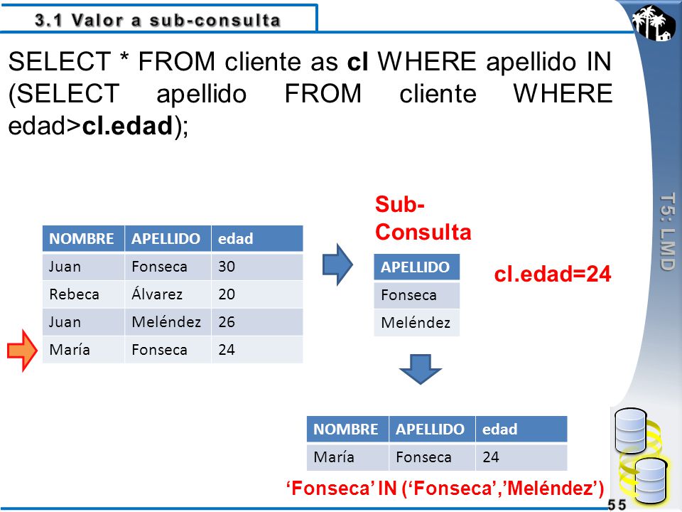 3.1 Valor a sub-consulta T5: LMD. SELECT * FROM cliente as cl WHERE apellido IN (SELECT apellido FROM cliente WHERE edad>cl.edad);