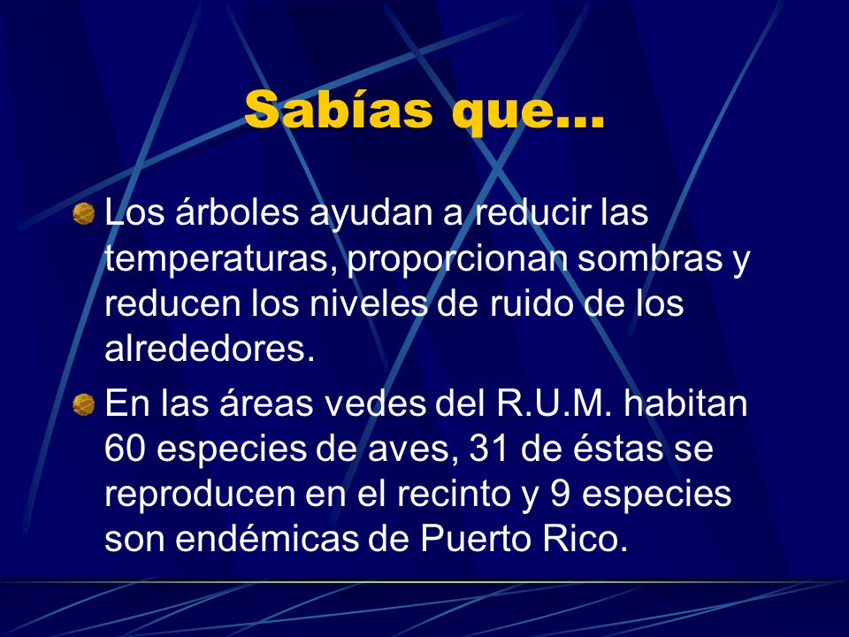 Sabías que… Los árboles ayudan a reducir las temperaturas, proporcionan sombras y reducen los niveles de ruido de los alrededores.