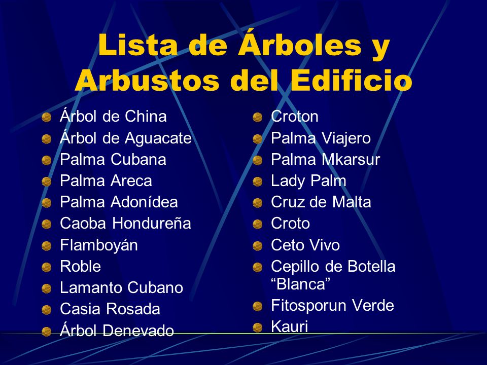 Lista de Árboles y Arbustos del Edificio