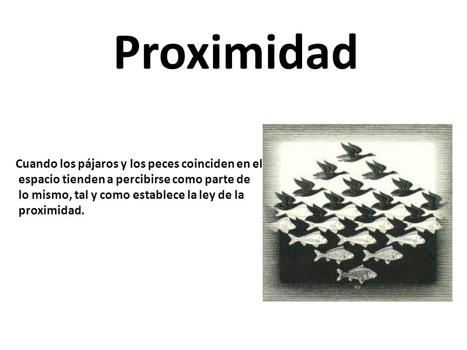 Proximidad Cuando los pájaros y los peces coinciden en el
