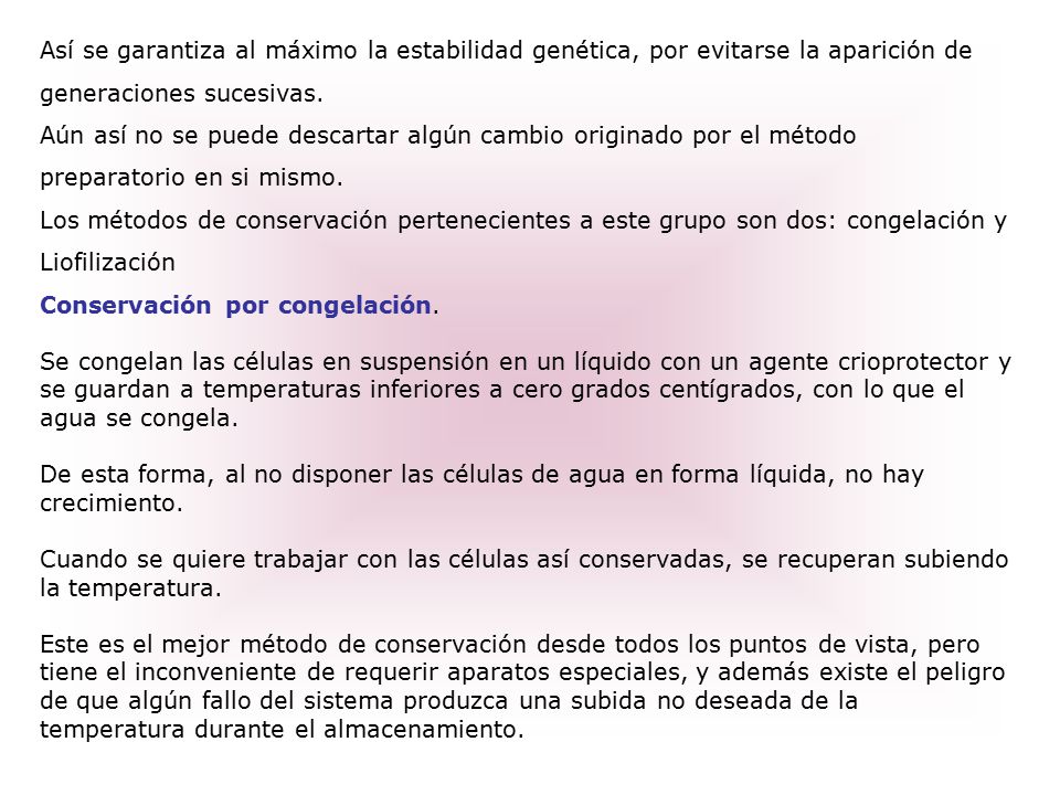 Así se garantiza al máximo la estabilidad genética, por evitarse la aparición de