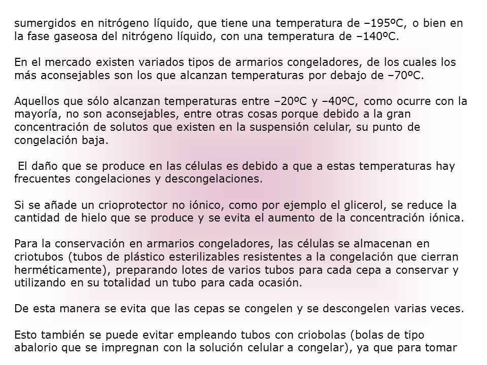 sumergidos en nitrógeno líquido, que tiene una temperatura de –195ºC, o bien en la fase gaseosa del nitrógeno líquido, con una temperatura de –140ºC.
