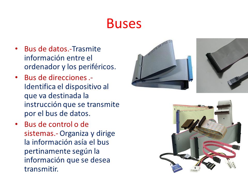 Buses Bus de datos.-Trasmite información entre el ordenador y los periféricos.