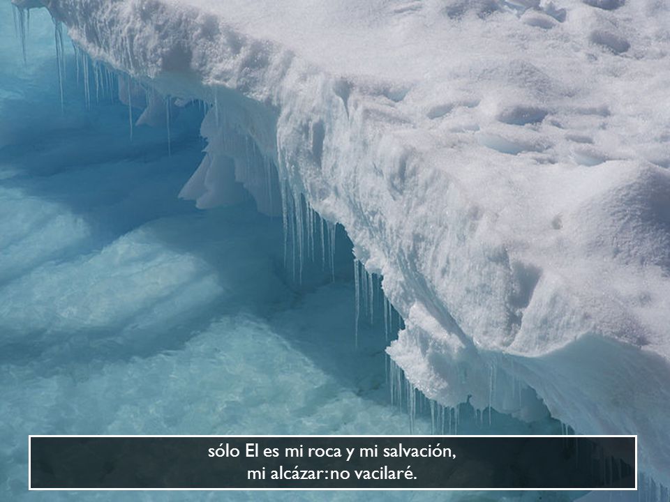 sólo El es mi roca y mi salvación, mi alcázar: no vacilaré.