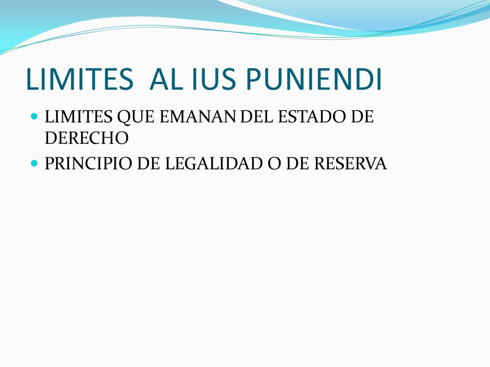 LIMITES AL IUS PUNIENDI