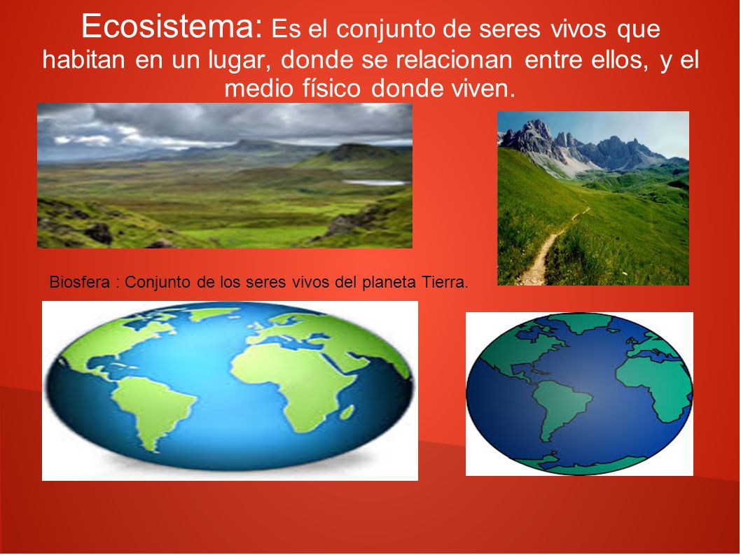 Ecosistema: Es el conjunto de seres vivos que habitan en un lugar, donde se relacionan entre ellos, y el medio físico donde viven.