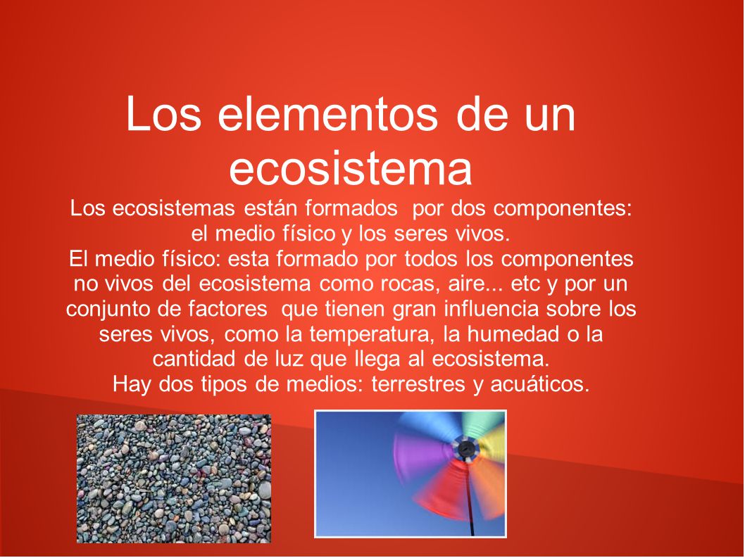 Los elementos de un ecosistema Los ecosistemas están formados por dos componentes: el medio físico y los seres vivos.