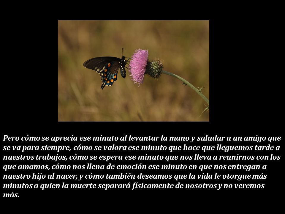 Pero cómo se aprecia ese minuto al levantar la mano y saludar a un amigo que se va para siempre, cómo se valora ese minuto que hace que lleguemos tarde a nuestros trabajos, cómo se espera ese minuto que nos lleva a reunirnos con los que amamos, cómo nos llena de emoción ese minuto en que nos entregan a nuestro hijo al nacer, y cómo también deseamos que la vida le otorgue más minutos a quien la muerte separará físicamente de nosotros y no veremos más.