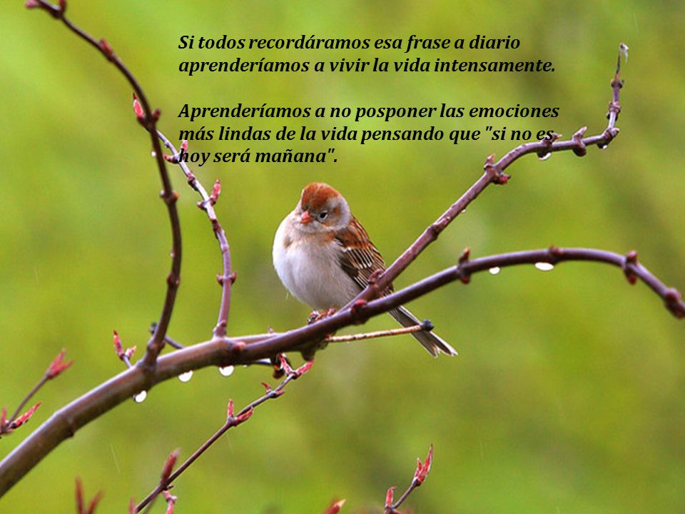 Si todos recordáramos esa frase a diario aprenderíamos a vivir la vida intensamente.