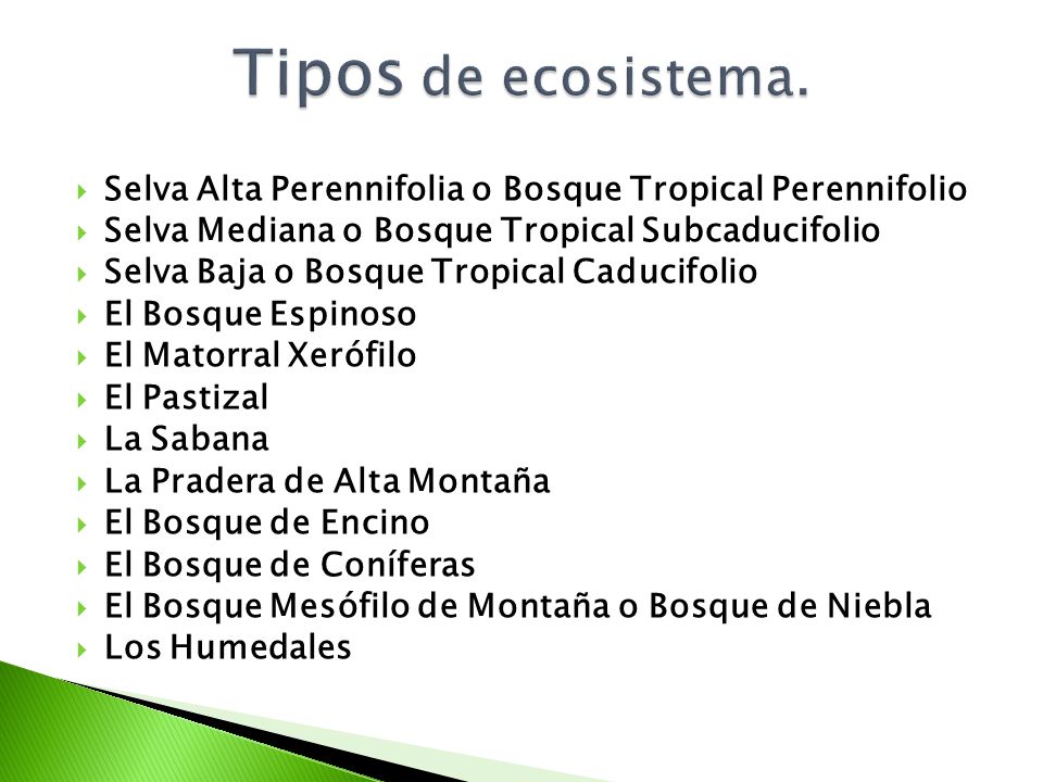 Tipos de ecosistema. Selva Alta Perennifolia o Bosque Tropical Perennifolio. Selva Mediana o Bosque Tropical Subcaducifolio.