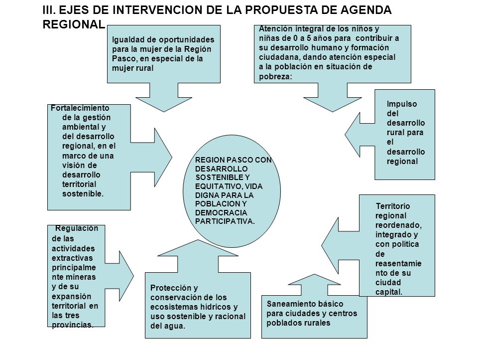 III. EJES DE INTERVENCION DE LA PROPUESTA DE AGENDA REGIONAL